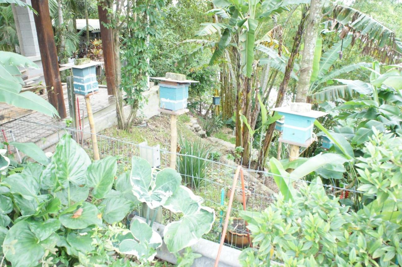 Inn Naturalis Paranagua